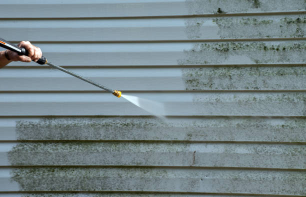 Best Affordable Pressure Washing  in Cienegas Terrace, TX