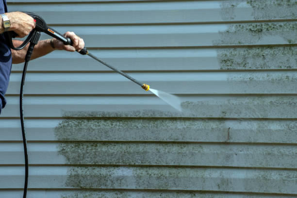 Best Exterior Home Cleaning  in Cienegas Terrace, TX