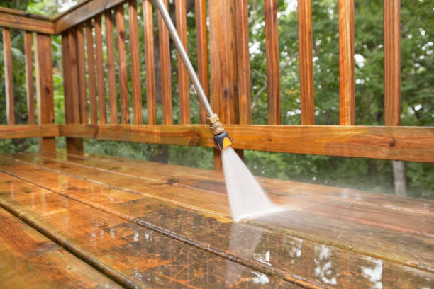 Best Local Pressure Washing Services  in Cienegas Terrace, TX